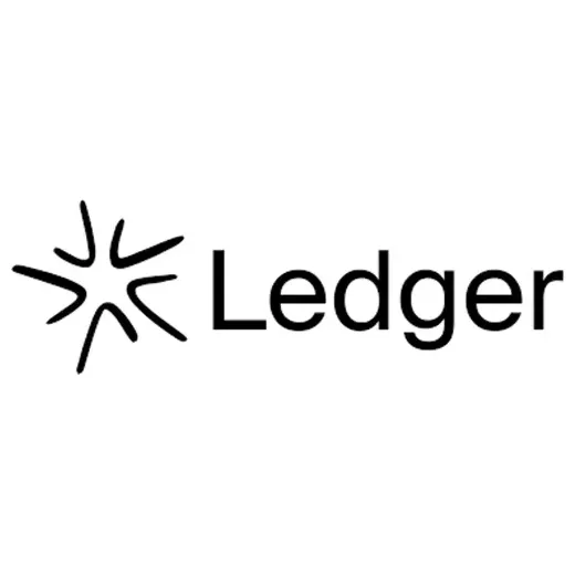 Ledger Teams brand logo for ledgerteams.com