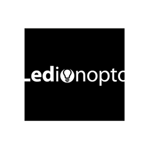 Ledion Opto brand logo for ledionopto-lighting.com