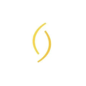 Lemmon Avenue brand logo for lemmonavenueplasticsurgery.com