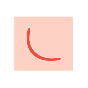 Lenine brand logo for leninestore.com