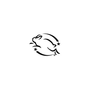 Lesse Official brand logo for lesseofficial.com