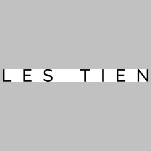 Lestien brand logo for lestien.com