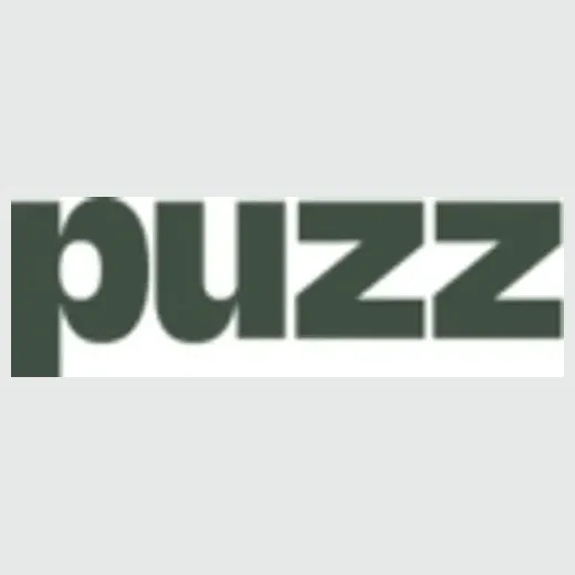 Let's Puzz brand logo for letspuzz.com