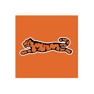 Letigre brand logo for letigreglobal.com
