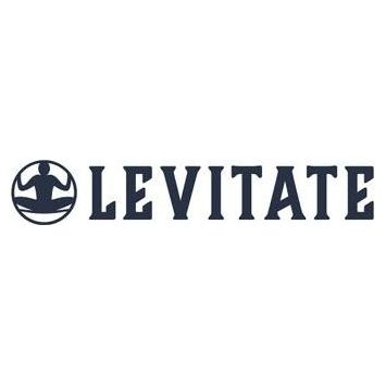 Levitate AI brand logo for levitate.ai