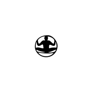 Levitate Music Festival brand logo for levitatemusicfestival.com