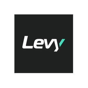 Levy Electric brand logo for levyelectric.com