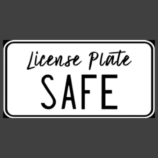 License Plate Safe brand logo for licenseplatesafe.com