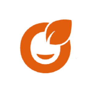 Life is o'som brand logo for lifeisosom.com