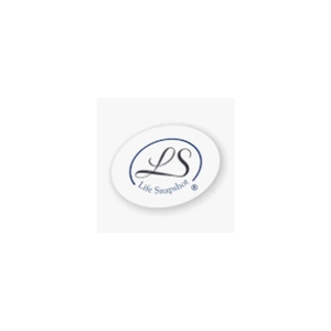 Life Snapshot brand logo for lifesnapshot.com