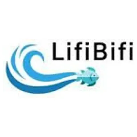 Lifibifi brand logo for lifibifi.com