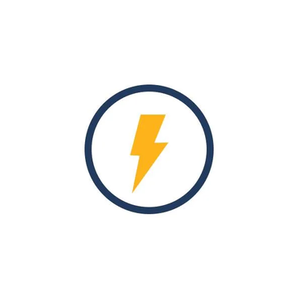 Lightning Step brand logo for lightningstep.com