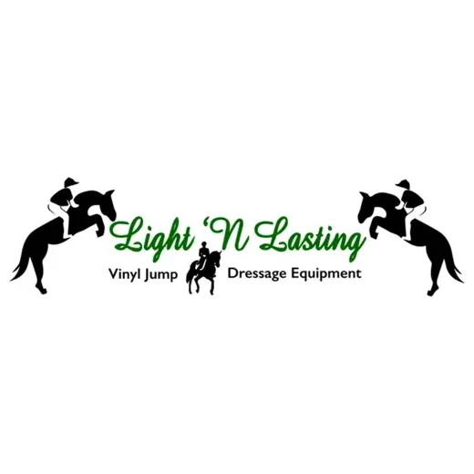lightnlasting brand logo for lightnlasting.com