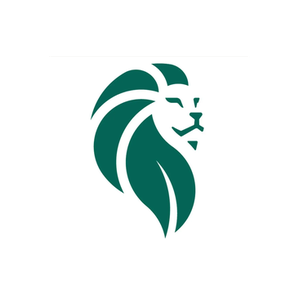 Liion Power brand logo for liionpower.tech