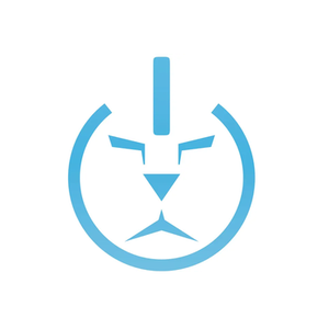 Liion Wholesale brand logo for liionwholesale.com
