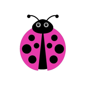 Lil Bug Clothing brand logo for lilbugclothing.com