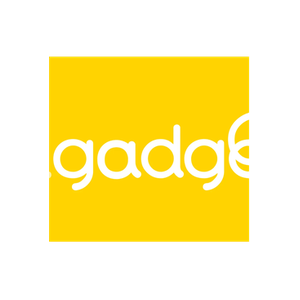 Lil' Gadgets brand logo for lilgadgets.com