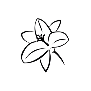 Lily Jade brand logo for lily-jade.com