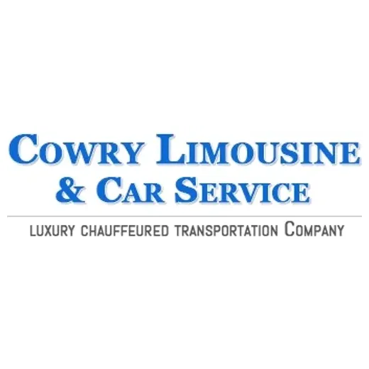 Limo Service Atlanta brand logo for limoserviceatlanta.com
