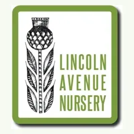 Lincoln Avenue Nursery brand logo for lincolnavenuenursery.com