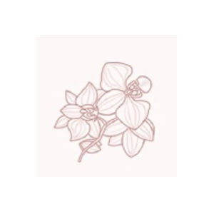 Lindy's Skin Studio brand logo for lindysskinstudio.com