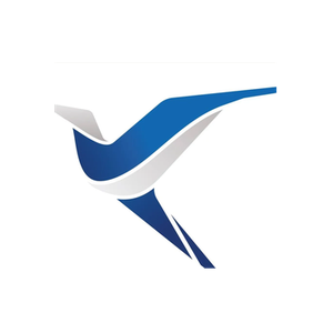 Link Airways brand logo for linkairways.com