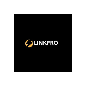 Linkfro brand logo for linkfro.de