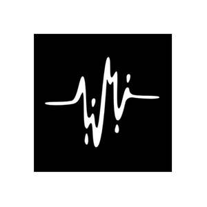 Lip Sync Video brand logo for lipsync.video