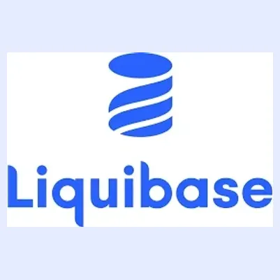 Liquibase brand logo for liquibase.com