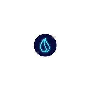 Liquid Driver brand logo for liquiddriver.finance