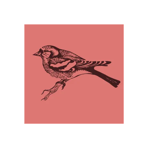 Little Brown Sparrow brand logo for littlebrownsparrowco.com
