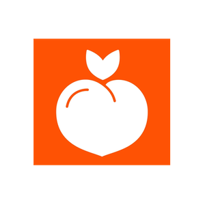 Little Chonk brand logo for littlechonk.com