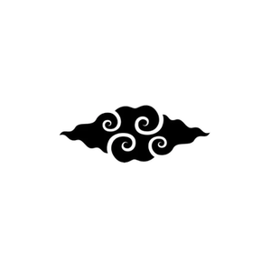 Little Cloud brand logo for littlecloudkites.com