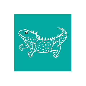Little Giants Kids Store brand logo for littlegiantskidsstore.co.nz