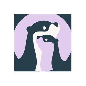 Little Otter Health brand logo for littleotterhealth.com