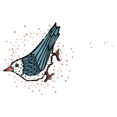 littlebirdgardens brand logo for littlebirdgardens.com