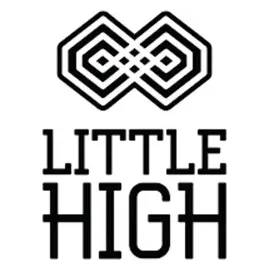 littlehigh brand logo for littlehigh.com