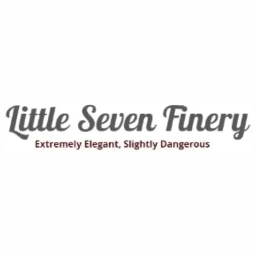 littleseven brand logo for littleseven.com