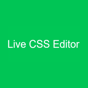 livecsseditor brand logo for livecsseditor.com