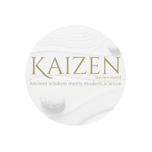 LiveKaizen brand logo for livekaizen.com
