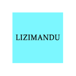 Lizimandu brand logo for lizimandu-lap.com