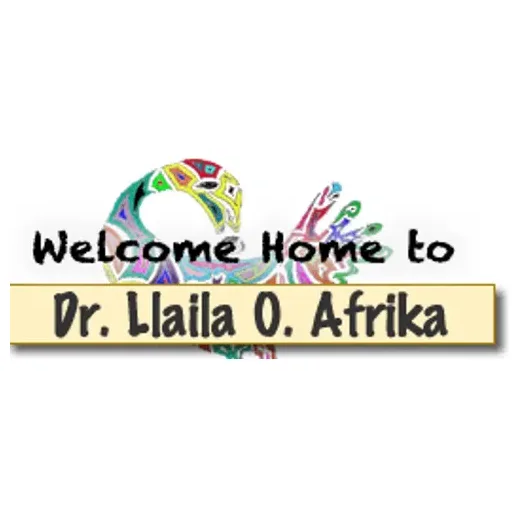 llailaafrika brand logo for llailaafrika.com