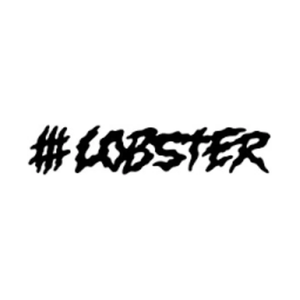 lobstersnowboards brand logo for lobstersnowboards.com