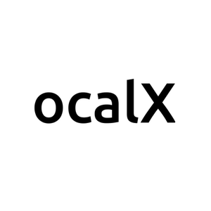 LocalXpose brand logo for localxpose.io