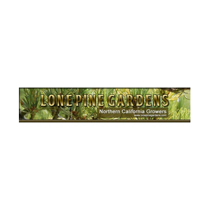 lonepinegardens brand logo for lonepinegardens.com