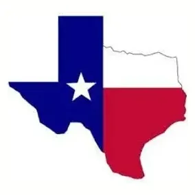 lonestartool brand logo for lonestartool.com