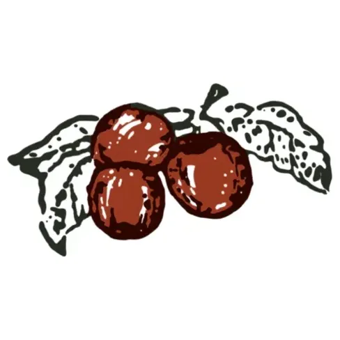 losriosrancho brand logo for losriosrancho.com