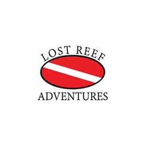 lostreefadventures brand logo for lostreefadventures.com