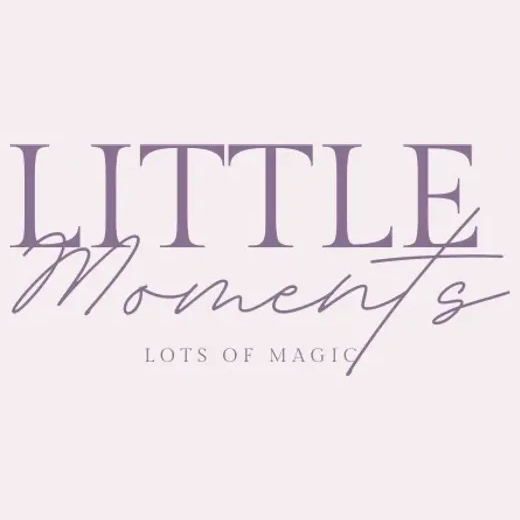 lotslittlemoments brand logo for lotslittlemoments.com