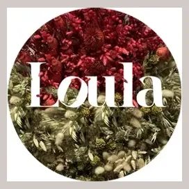 louladesigns brand logo for louladesigns.com